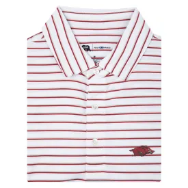 Arkansas Fairway Stripe Performance Polo