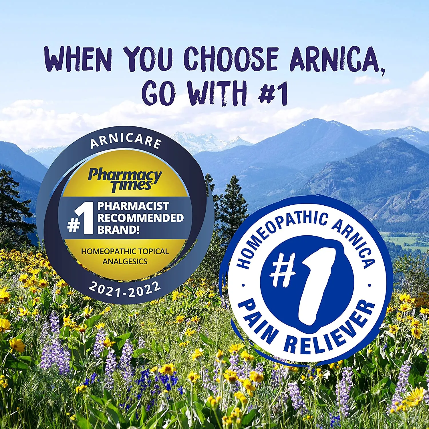 Boiron Arnicare Gel | Topical Natural Arnica Pain Relief Cream for Arthritis & Sore Muscles (4.2 Ounces)