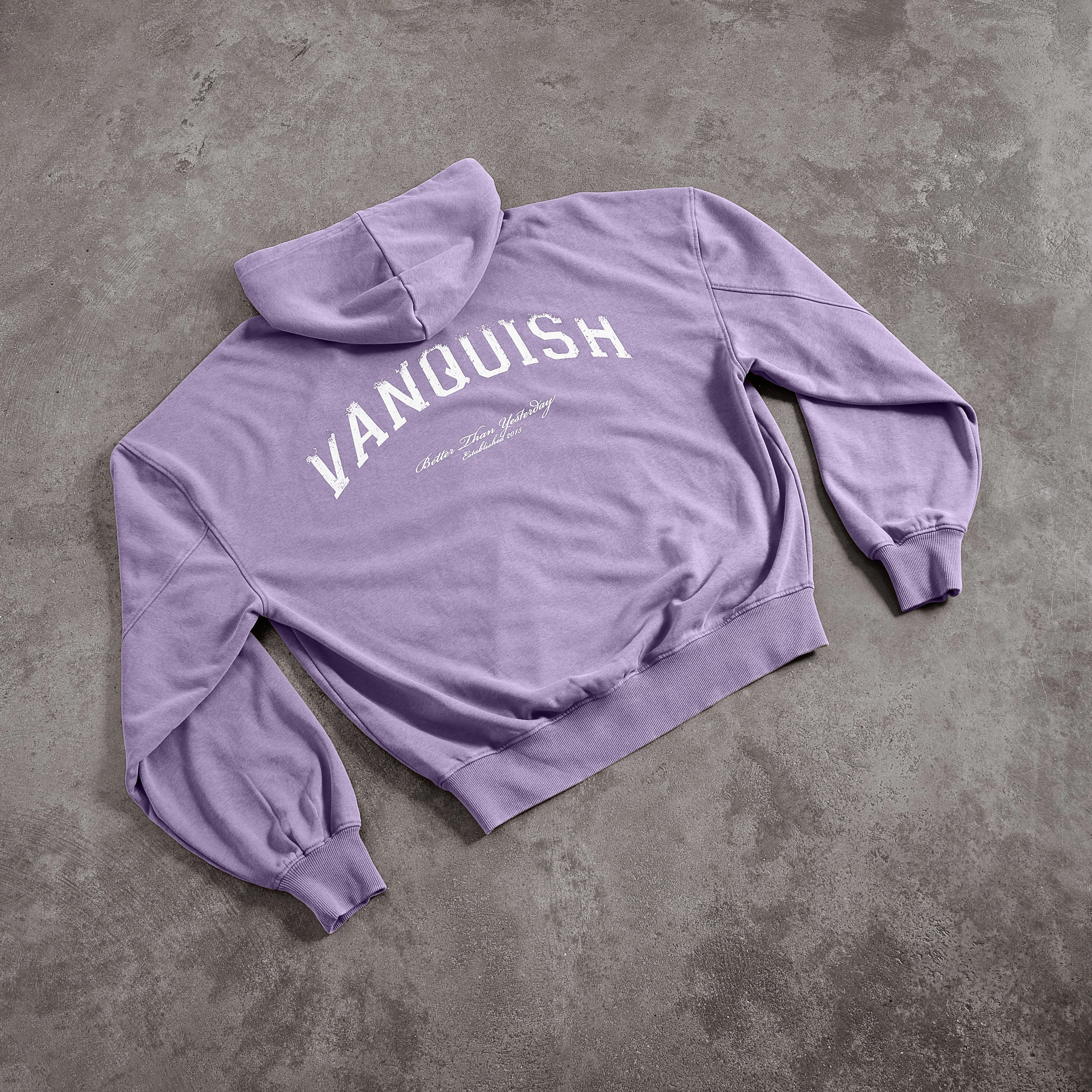 Vanquish Better Than Yesterday Washed Purple Full Zip Hoodie